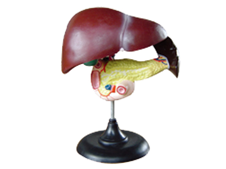 SD-093 33216ʮ֬cKģ